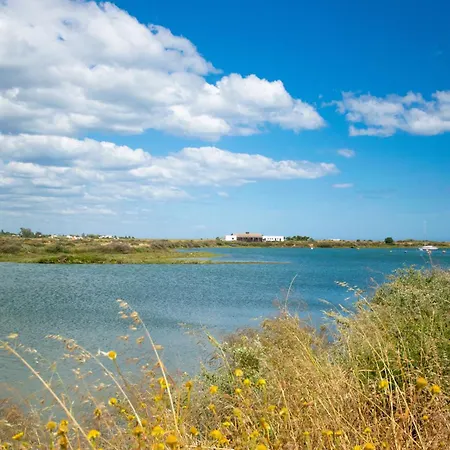 Apartman Holidayspt - Casa Da Ria - 2 Bedroom *